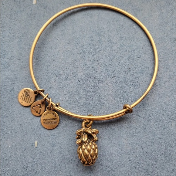 Alex and Ani Gold Pineapple Bangle Bracelet - Picture 5 of 6